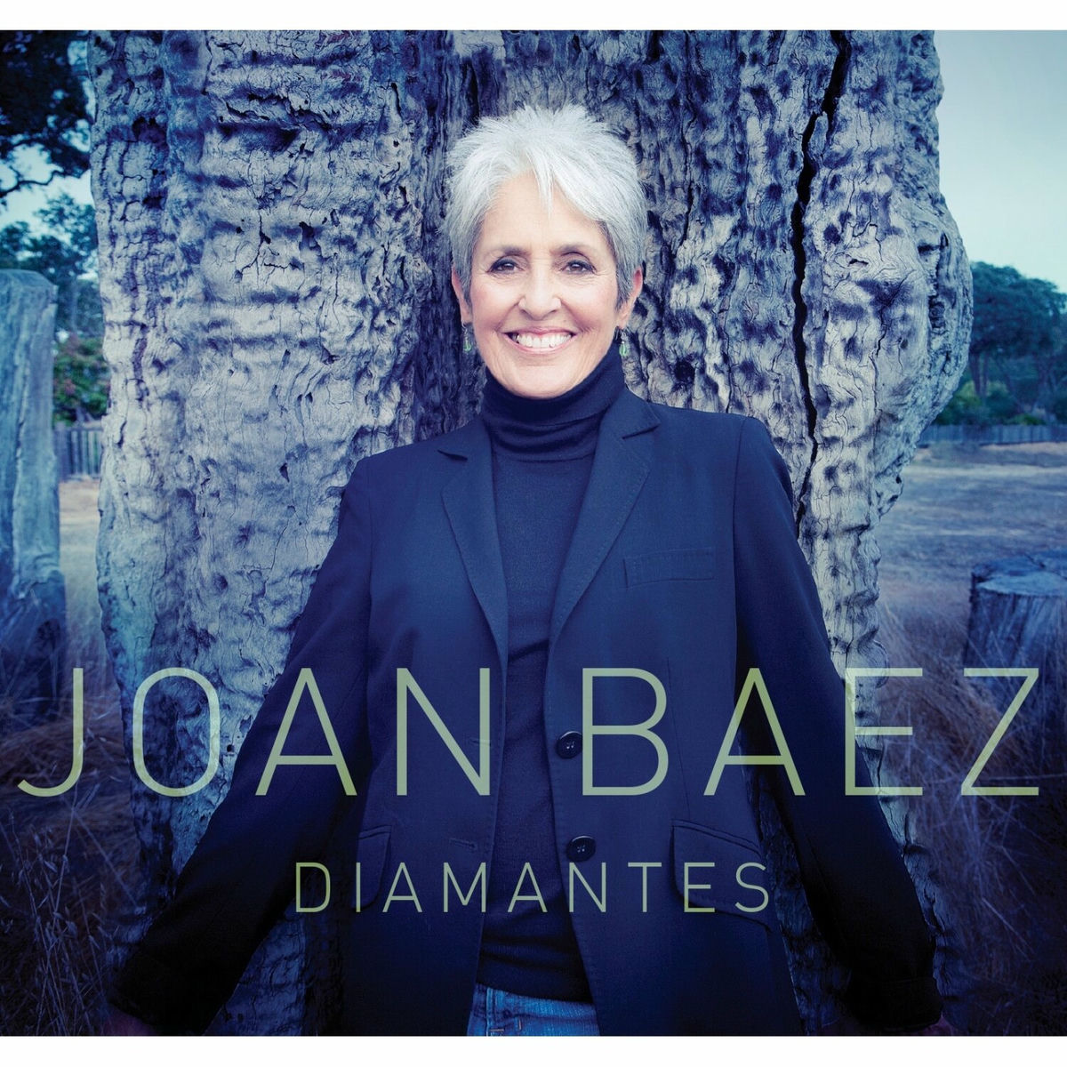 Album cover of Diamantes
