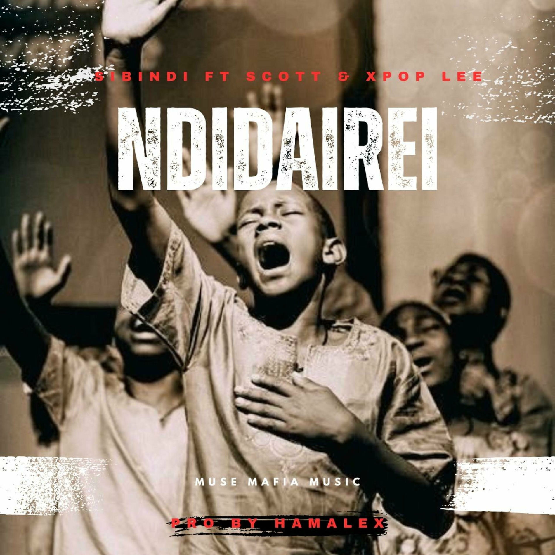 Album cover of Ndidairei (feat. Sibindi, Scott & Pop Lee)