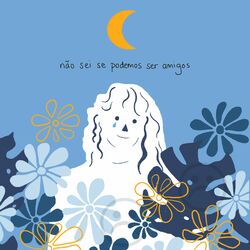 Cover of não sei se podemos ser amigos