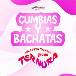 Cover of Cumbias y Bachatas