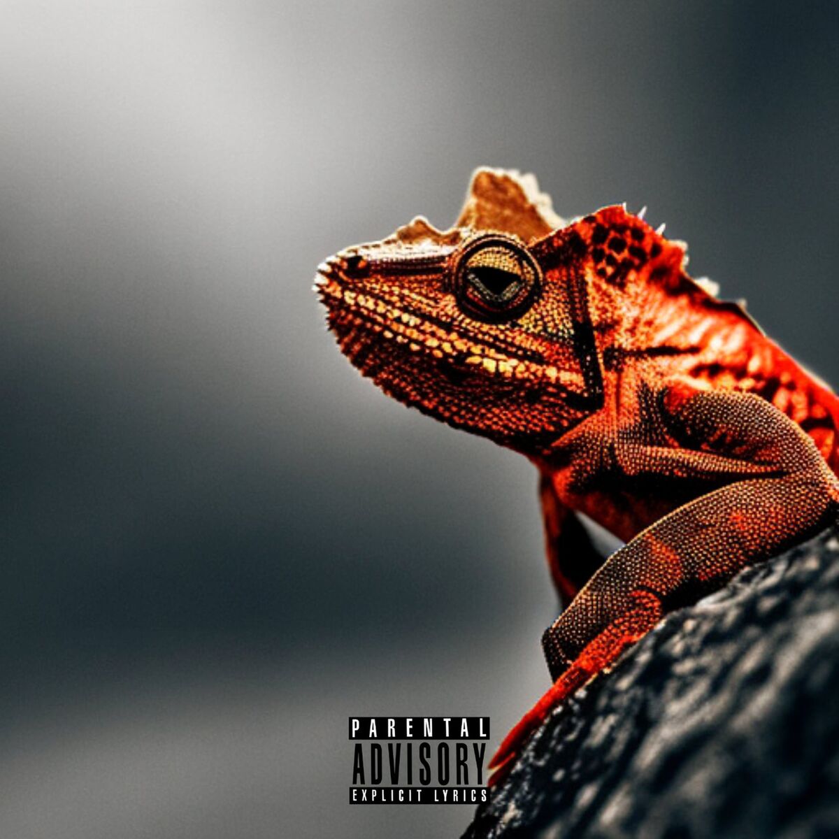 Album cover of Chamäleon (Mixtape)