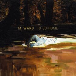 Cover of To Go Home