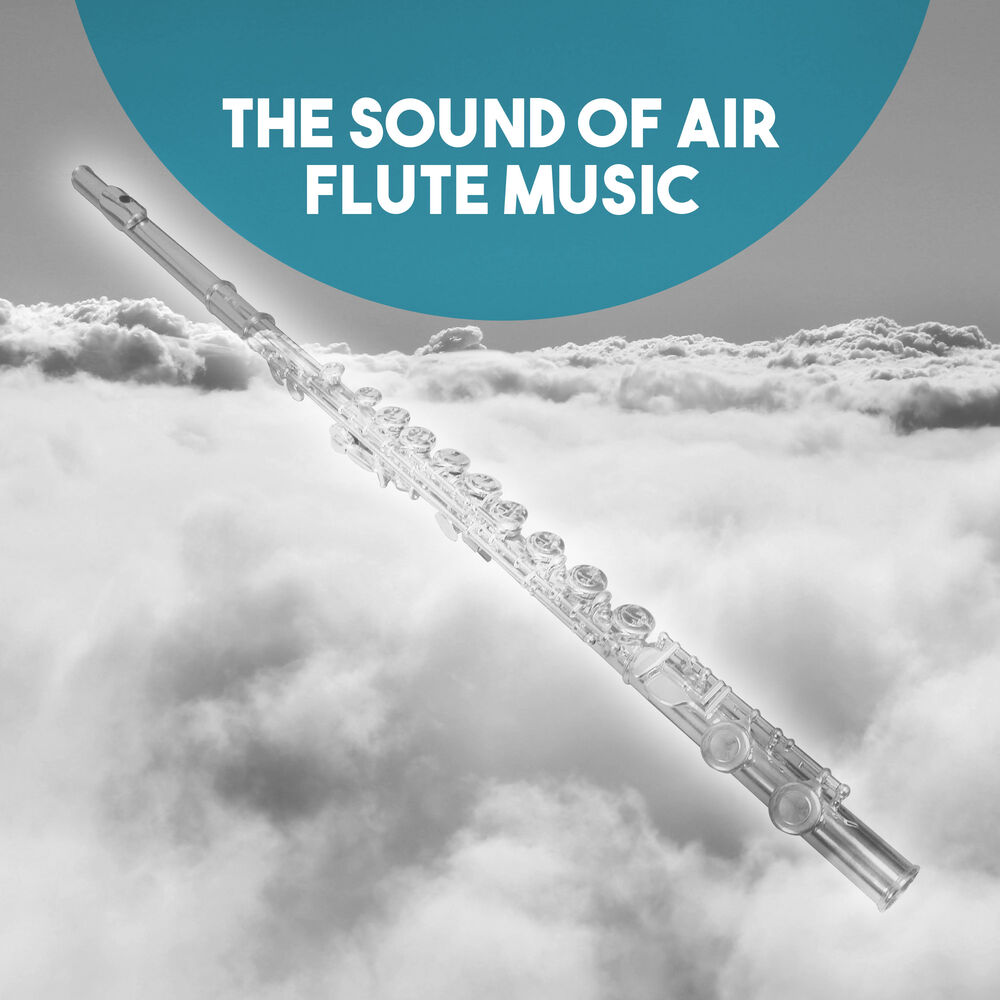 Picture of The Sound of Air: Flute Music
