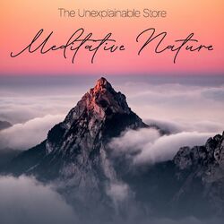 Cover of Meditative Nature