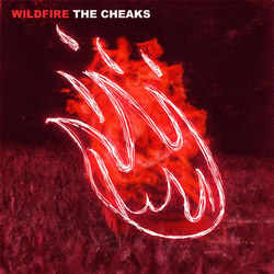 Descargar Wildfire - The Cheaks MP3