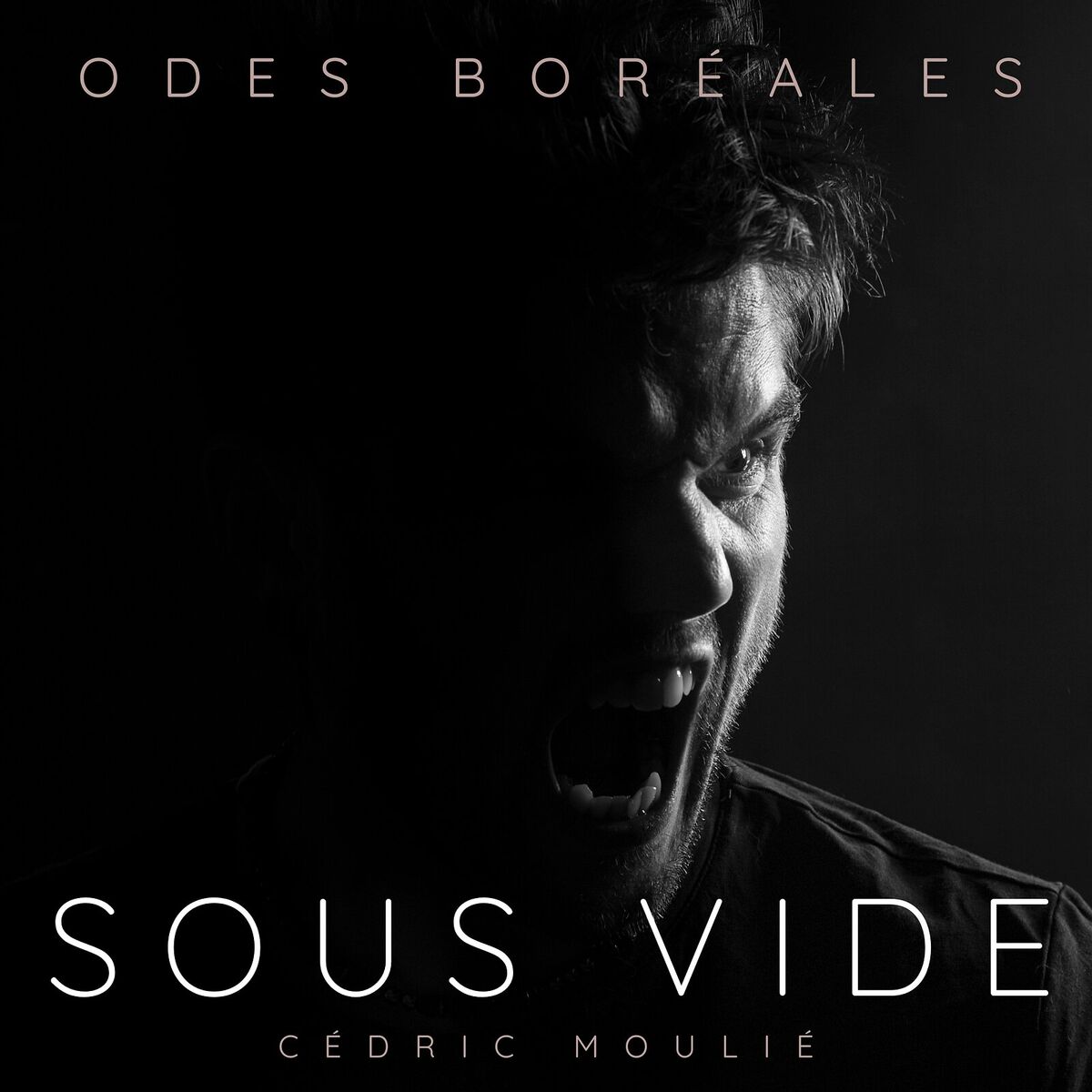 Album cover of Odes Boréales - Sous Vide