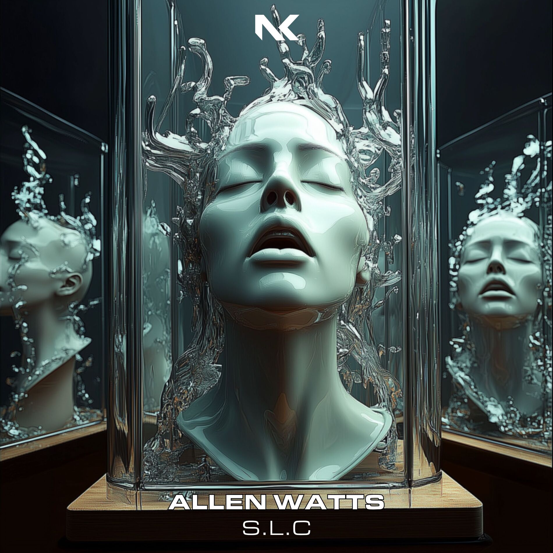 Album cover of S.L.C
