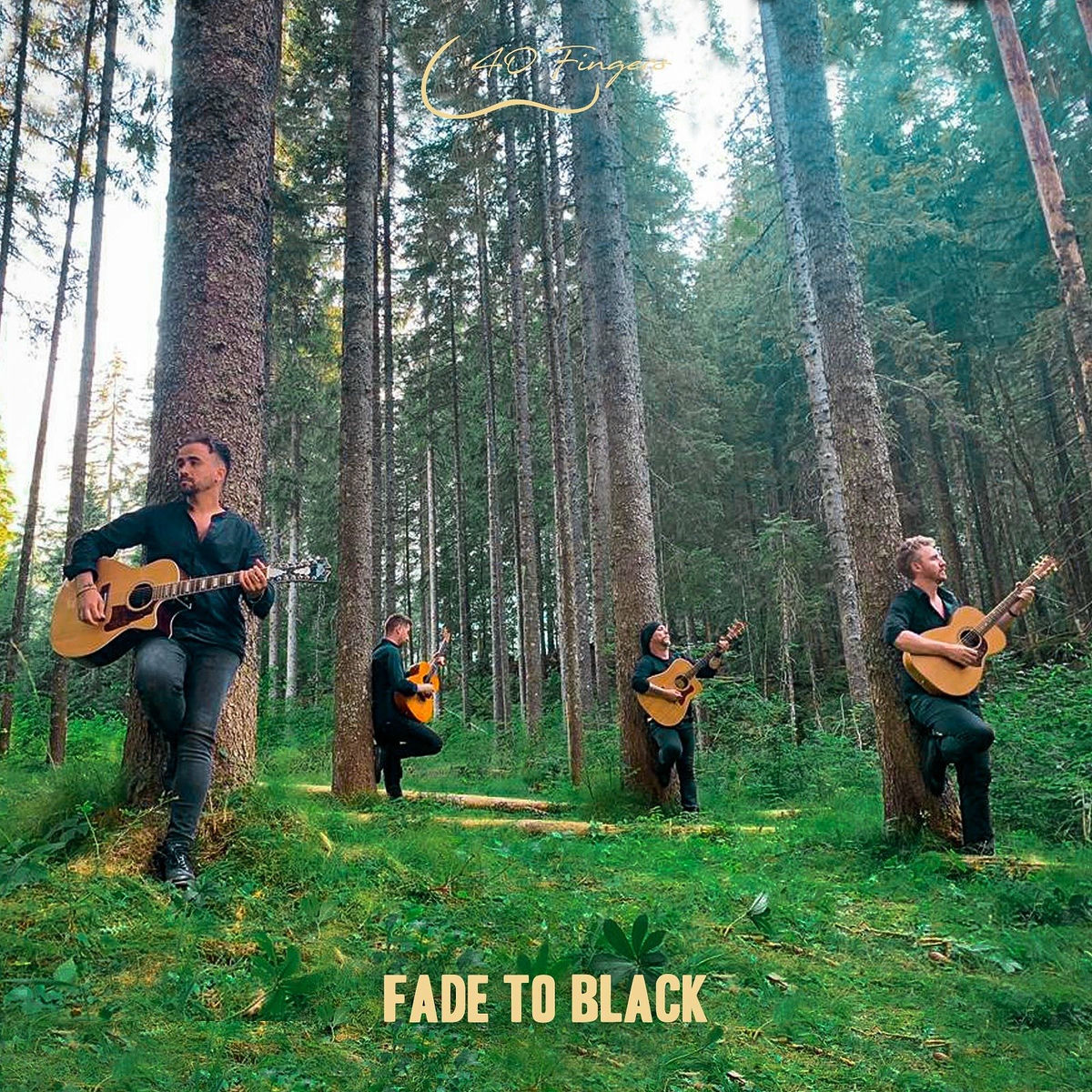 Album cover of Fade to Black