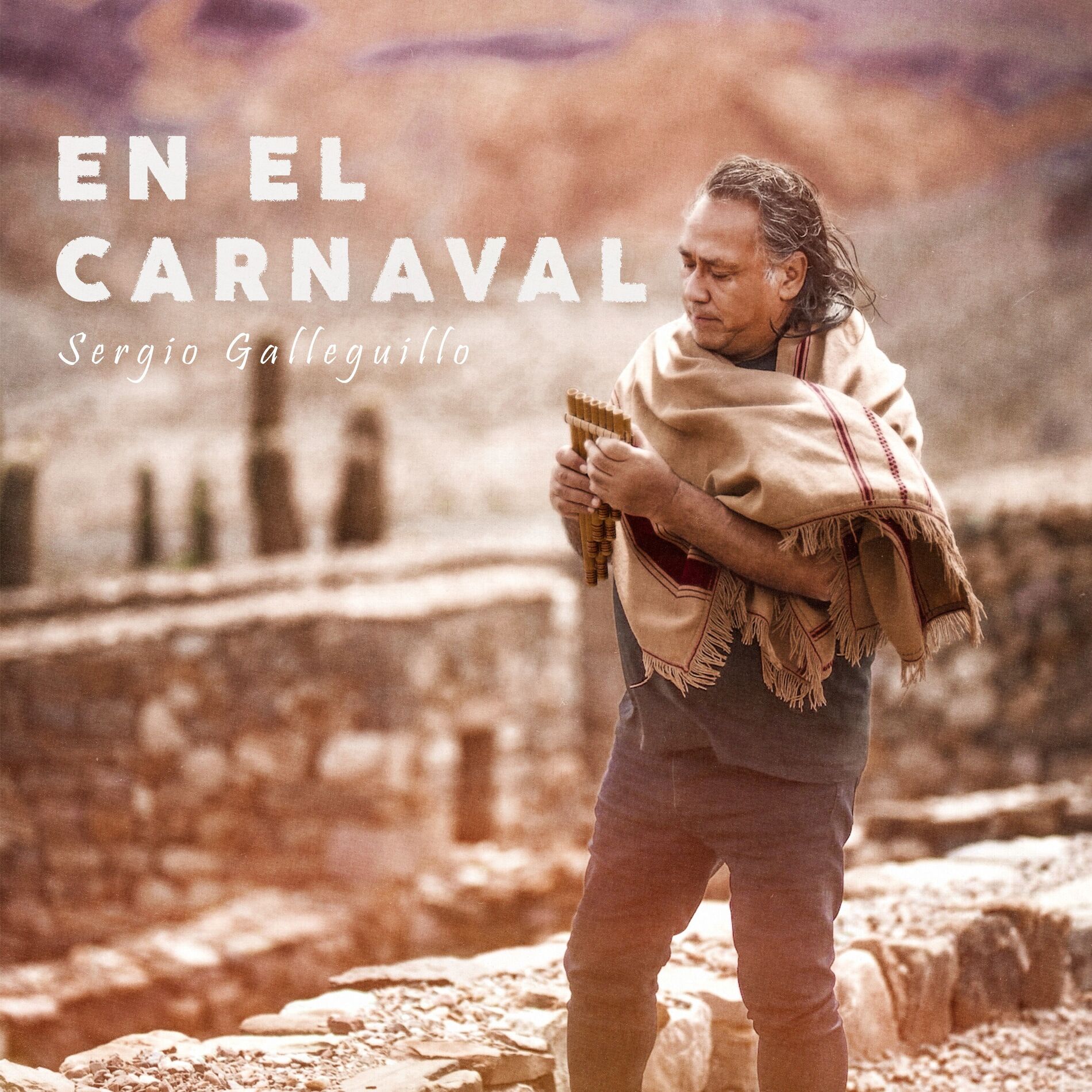 Album cover of En el carnaval