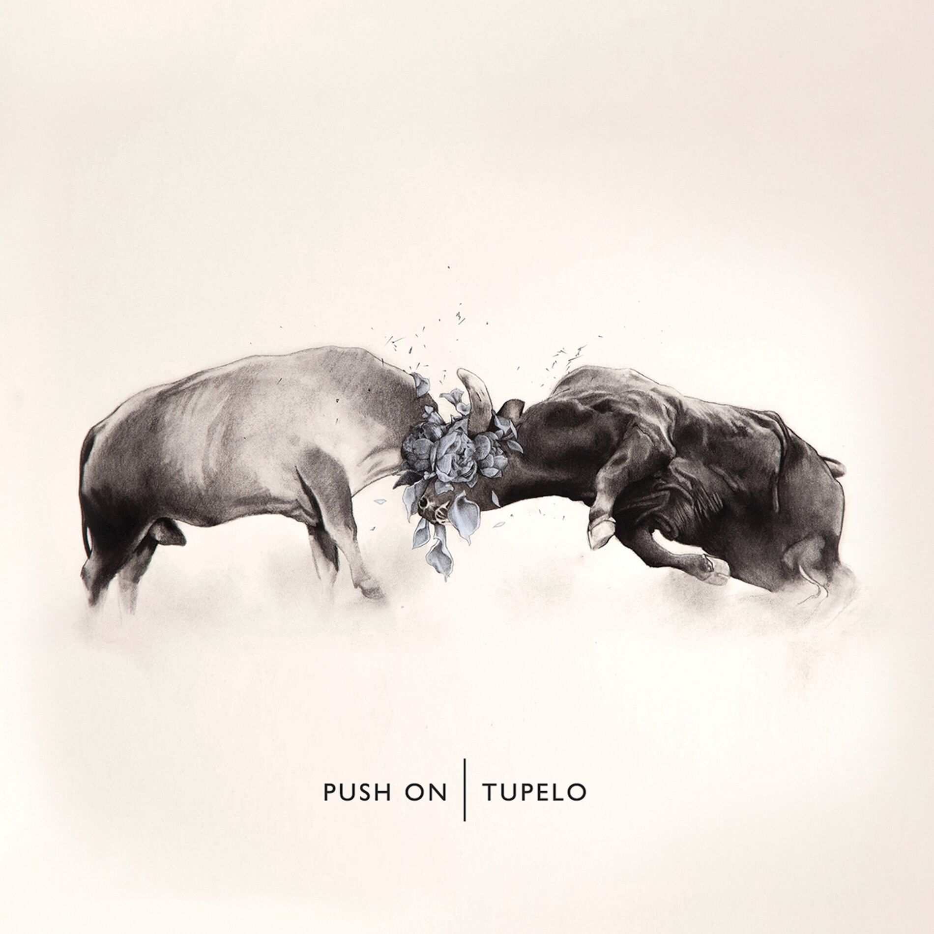 Album cover of Push On (Deluxe Version)