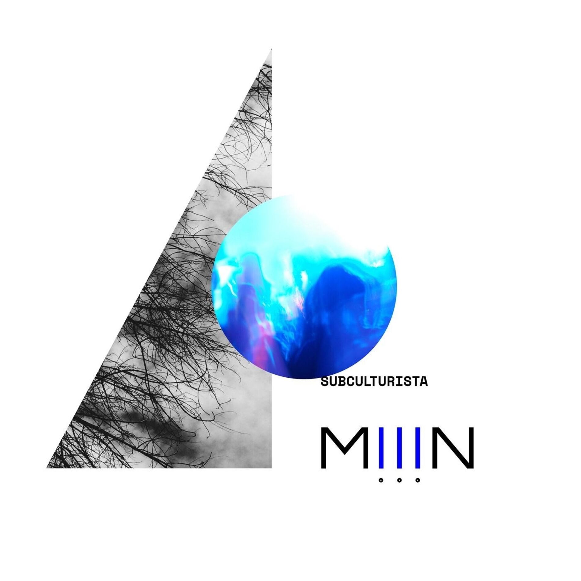 Album cover of Subculturista