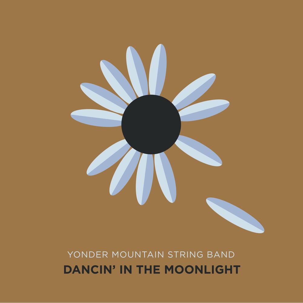 Picture of Dancing in the Moonlight