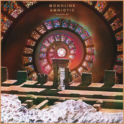 Cover of Amniotic Acoustic EP