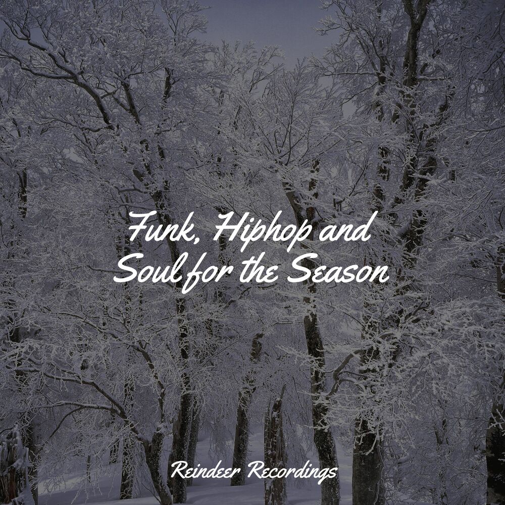 Picture of Funk, Hiphop and Soul for the Season