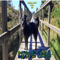 Cover of Chill Out, Vol. 23