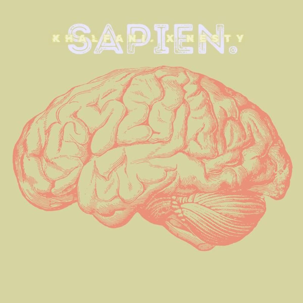 Album cover of SAPIEN. (Instrumentals)