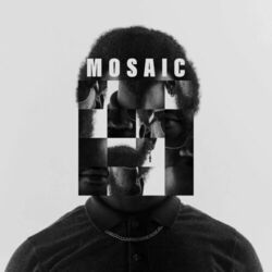 Cover of mosaic