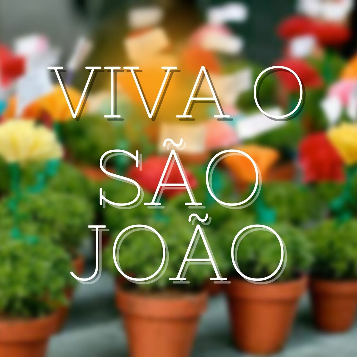 Album cover of Viva O São João