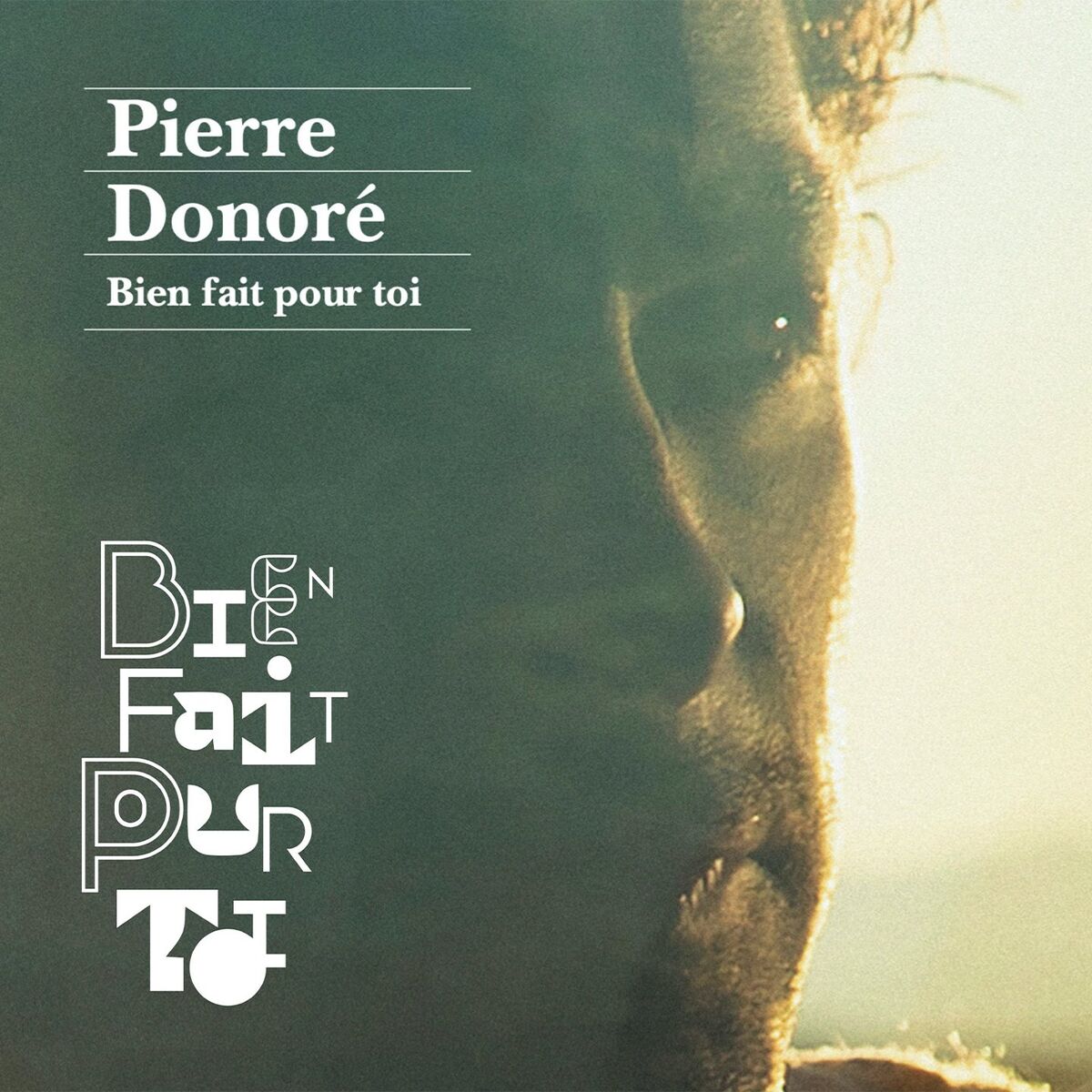 Album cover of Tout ce qui nous plaît