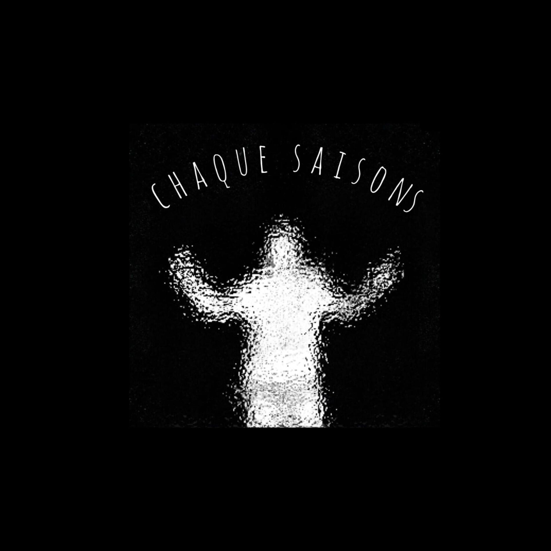 Album cover of chaque saisons