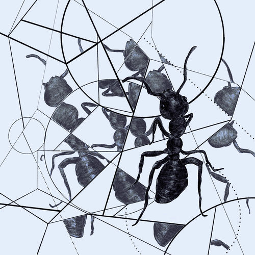 OSCiiL – Mosaic – Single