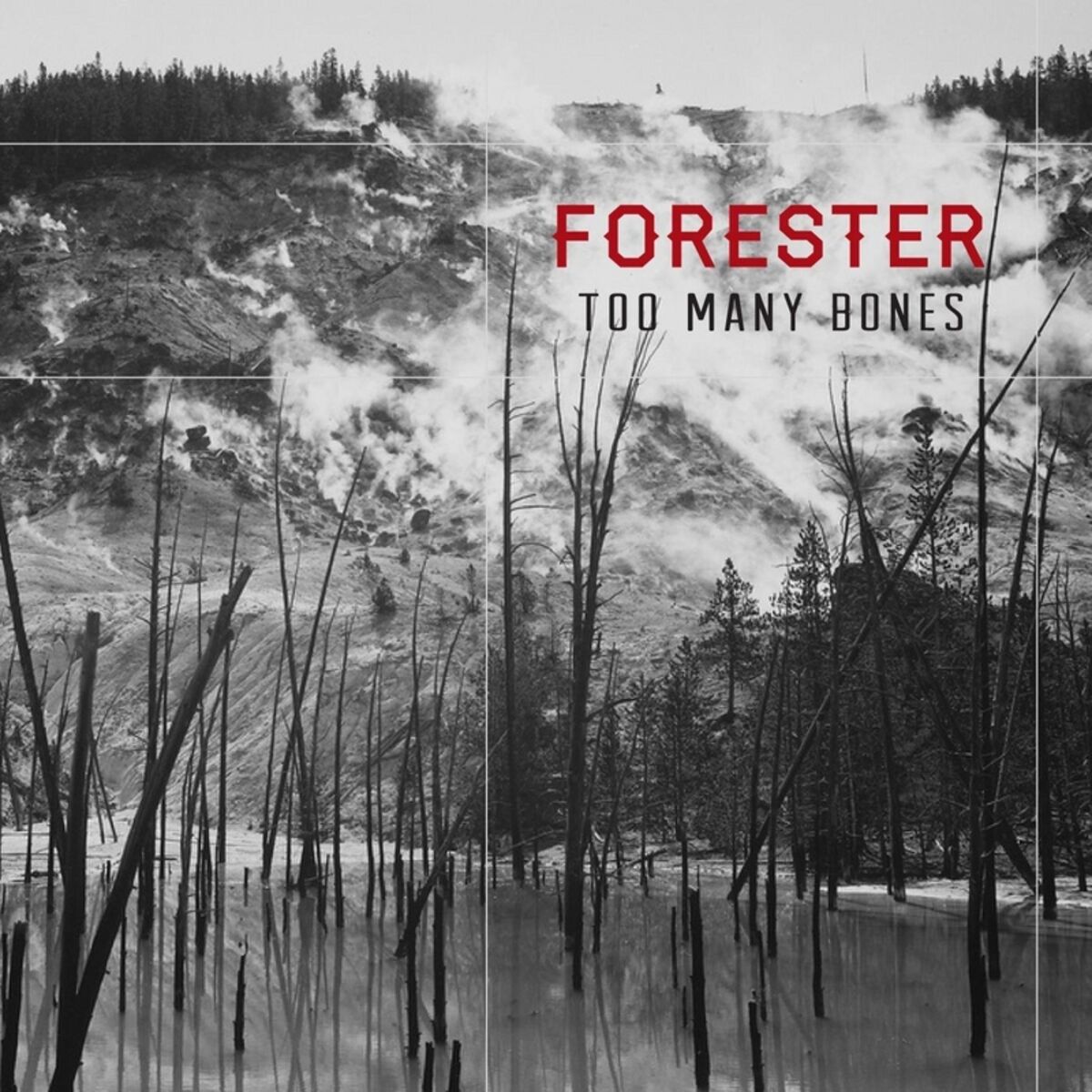 Album cover of Too Many Bones