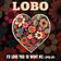I'd Love You To Want Me (Re-Recorded Sped Up) by Lobo album cover