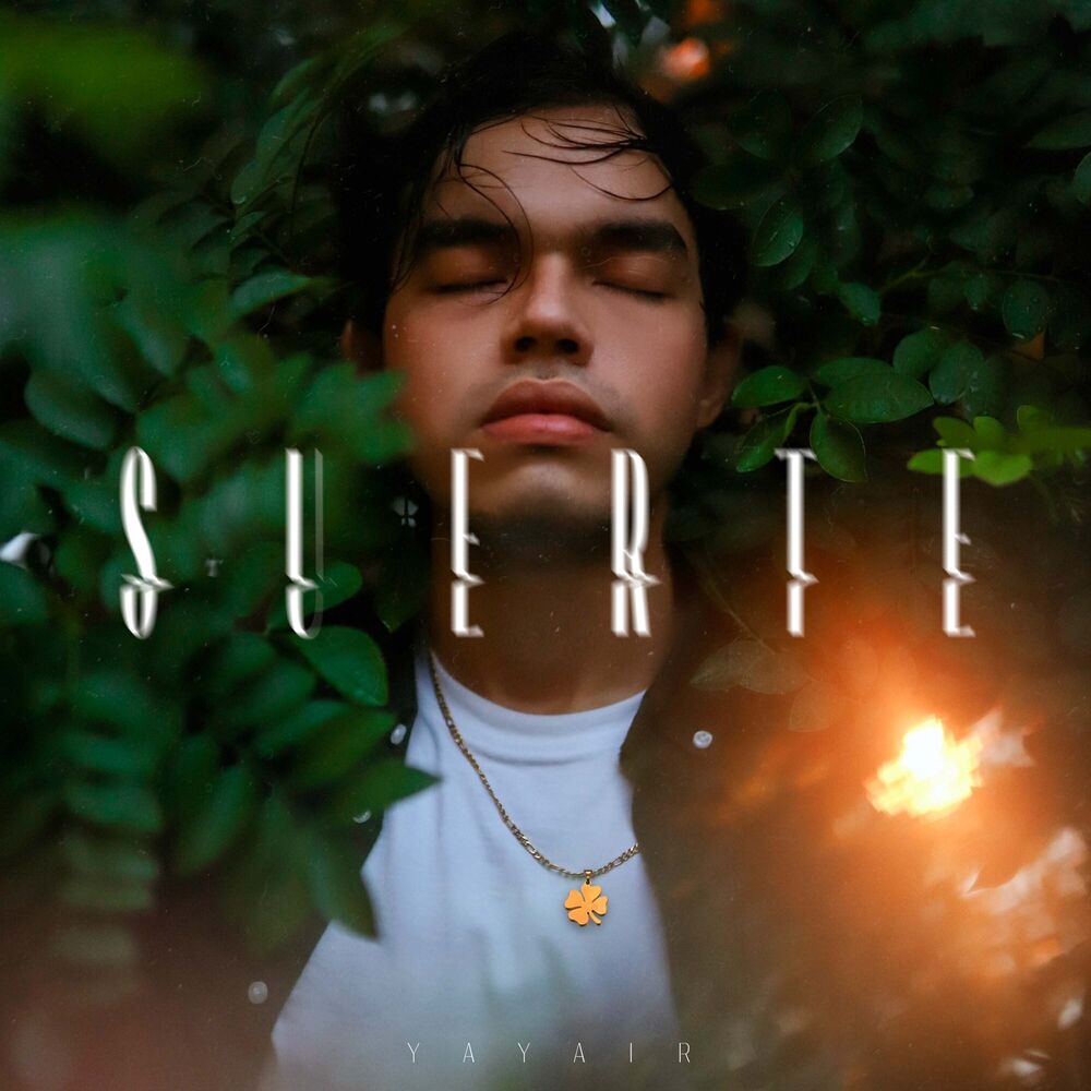Picture of Suerte
