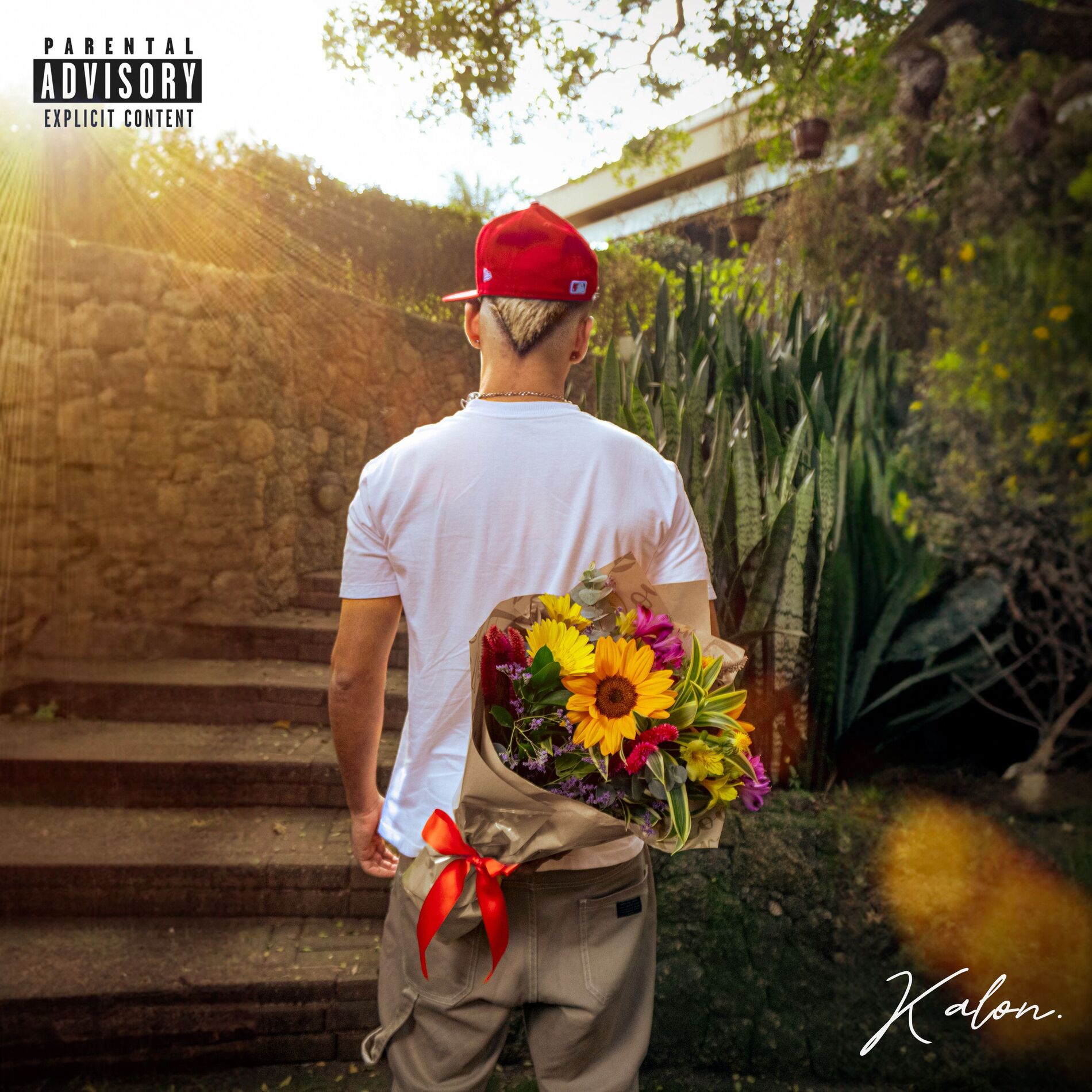 Album cover of KALON