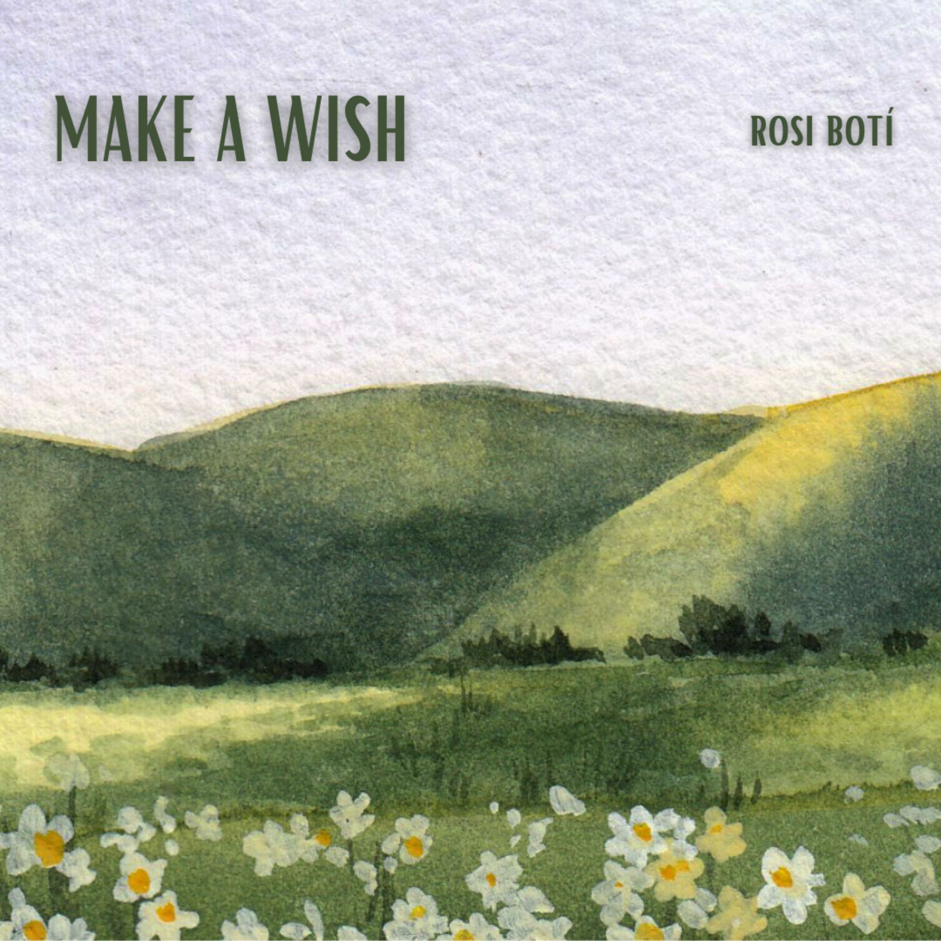 Album cover of Make a Wish