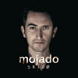 Cover of Skizo (Platinum Edition)