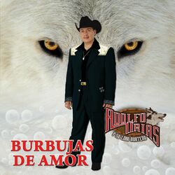 Cover of Burbujas De Amor (Norteño)