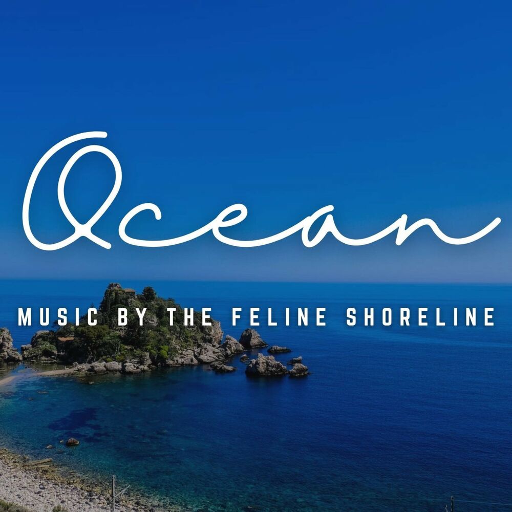 Picture of Music by the Feline Shoreline: Oceanic Cat Melodies