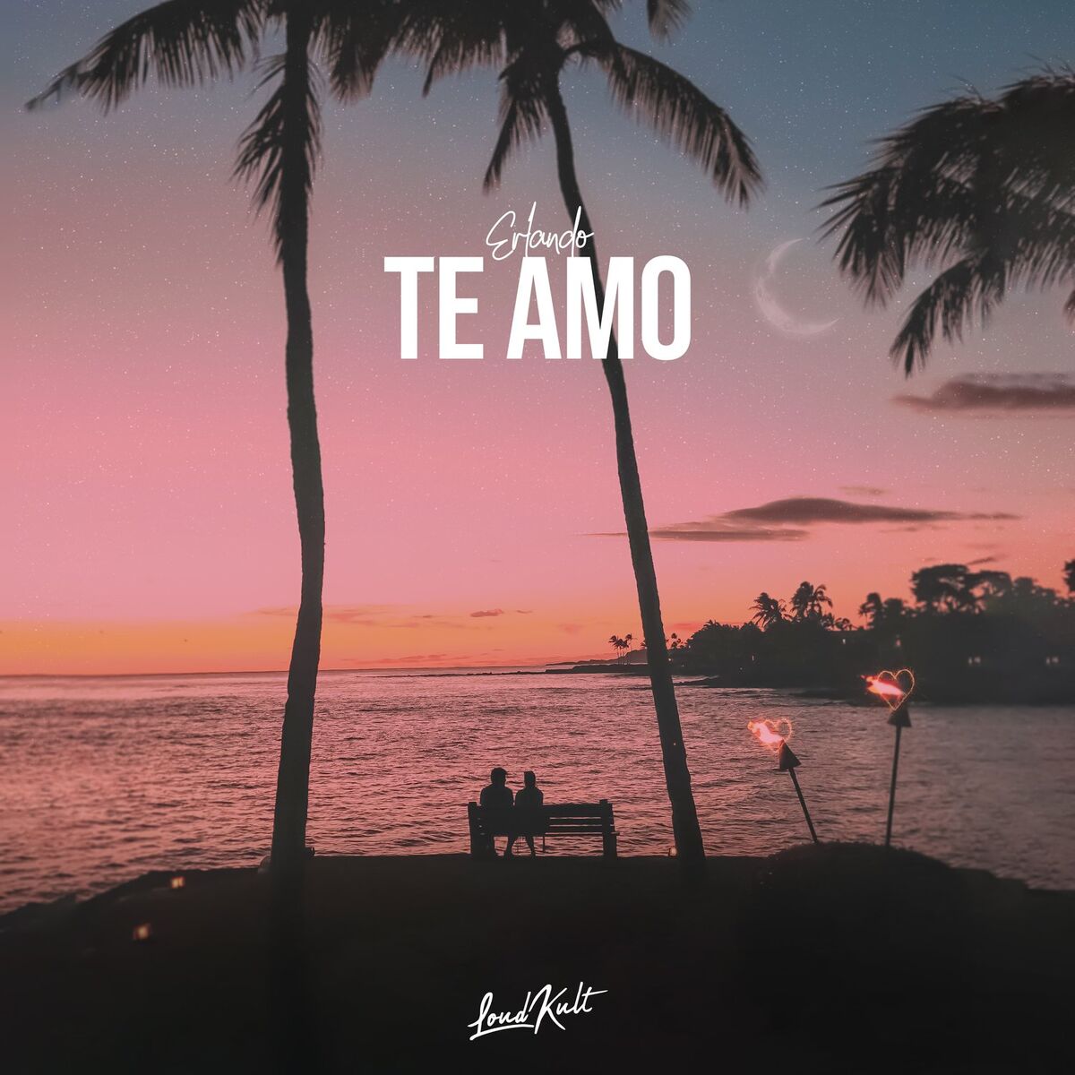 Album cover of Te Amo