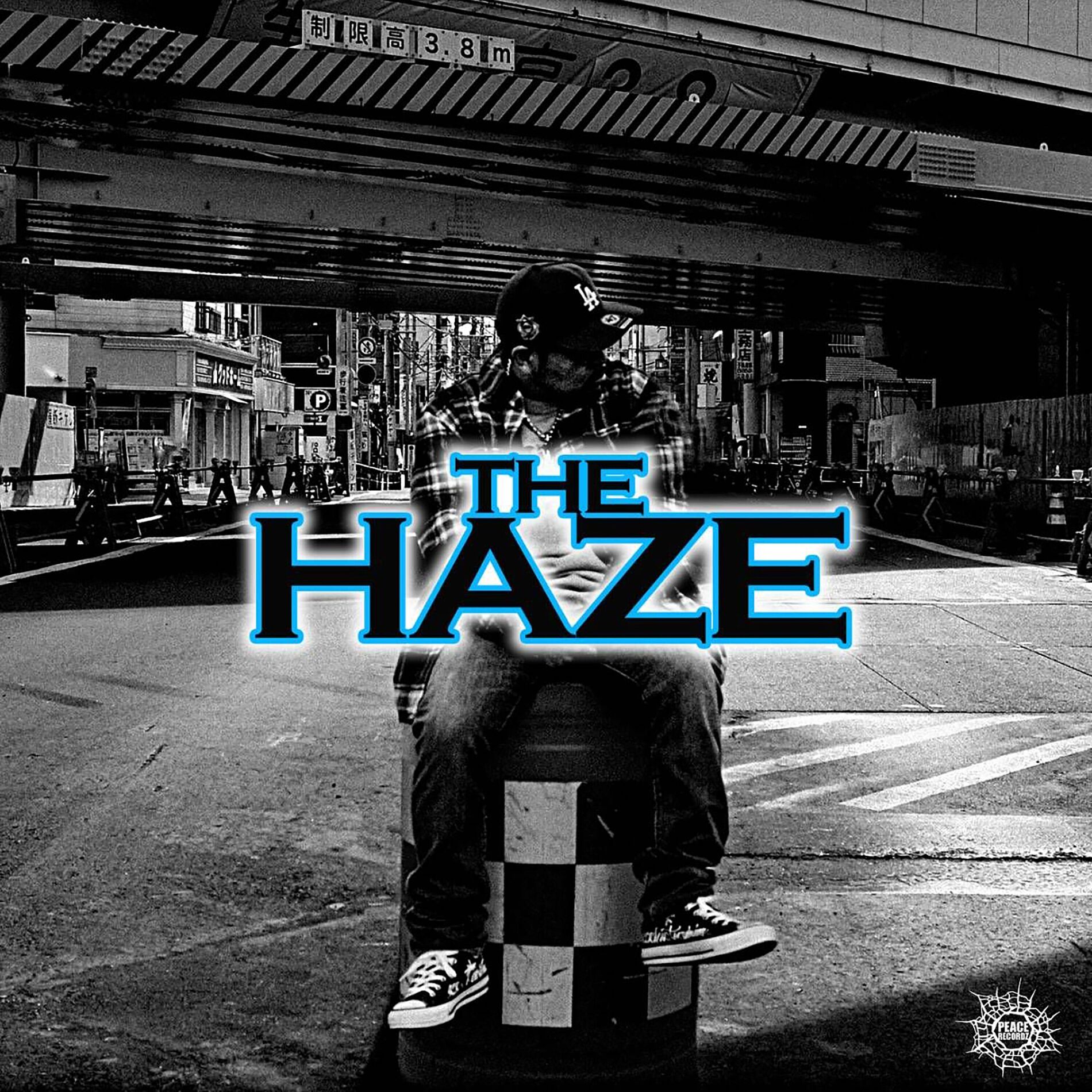 Album cover of THE HAZE