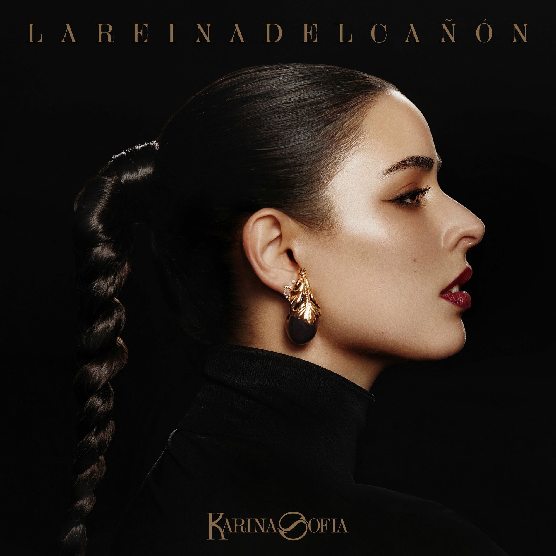 Album cover of La Reina Del Cañon