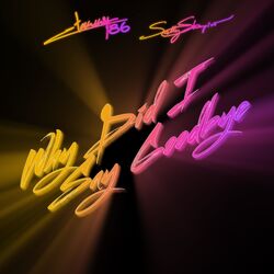 Cover of Why Did I Say Goodbye (The Remixes)