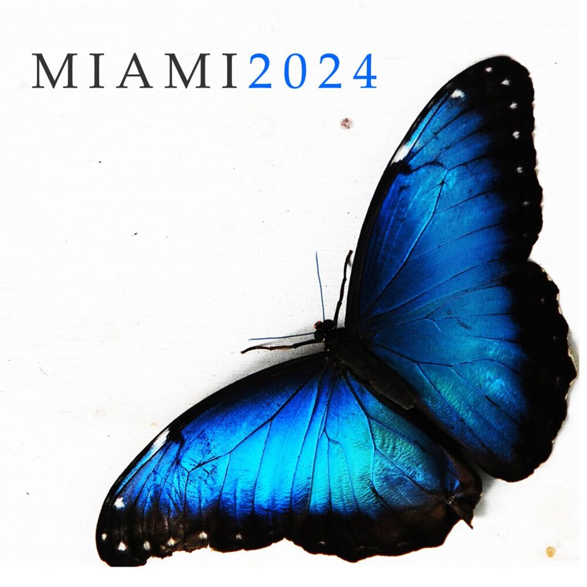 Album cover of Miami2024