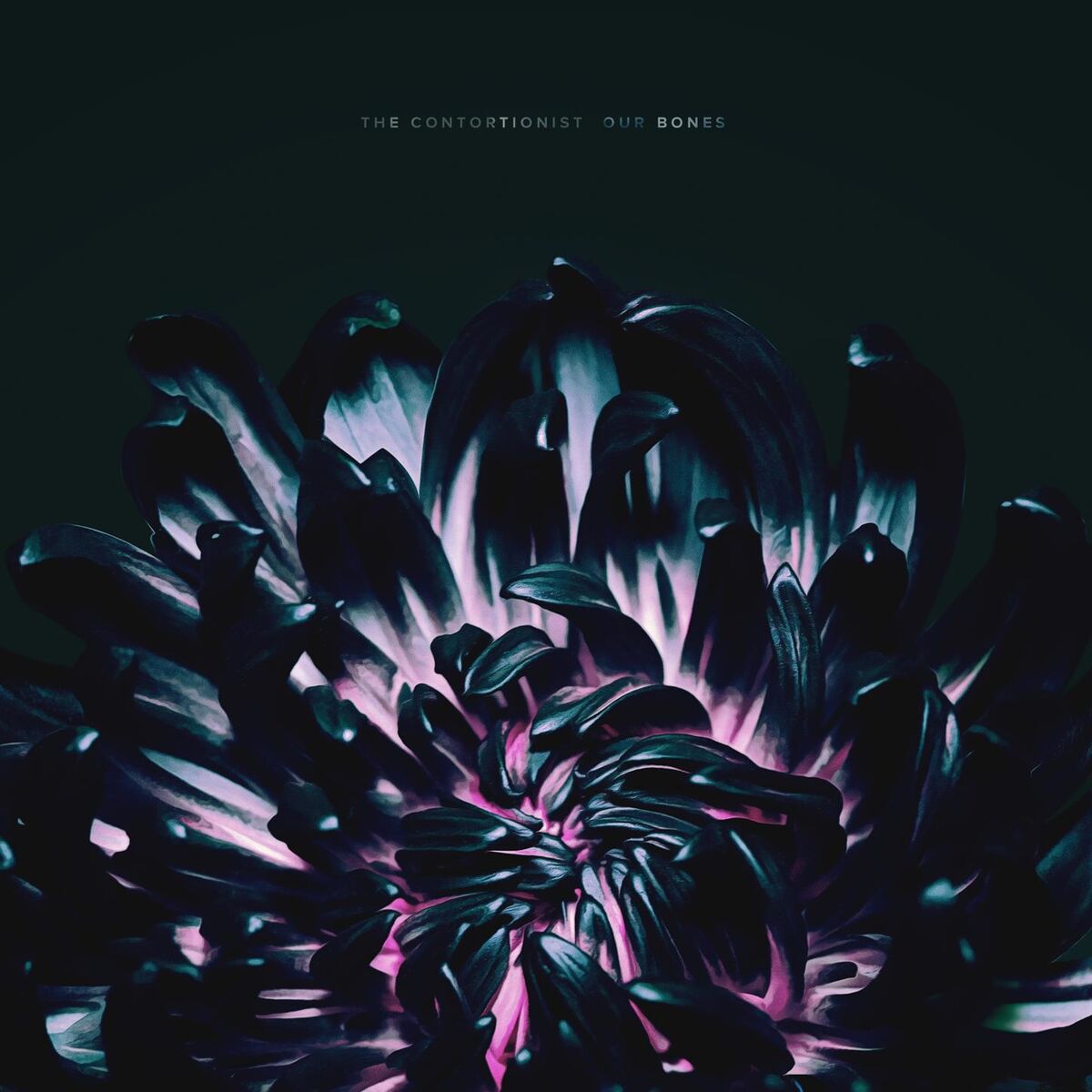 Album cover of 1979