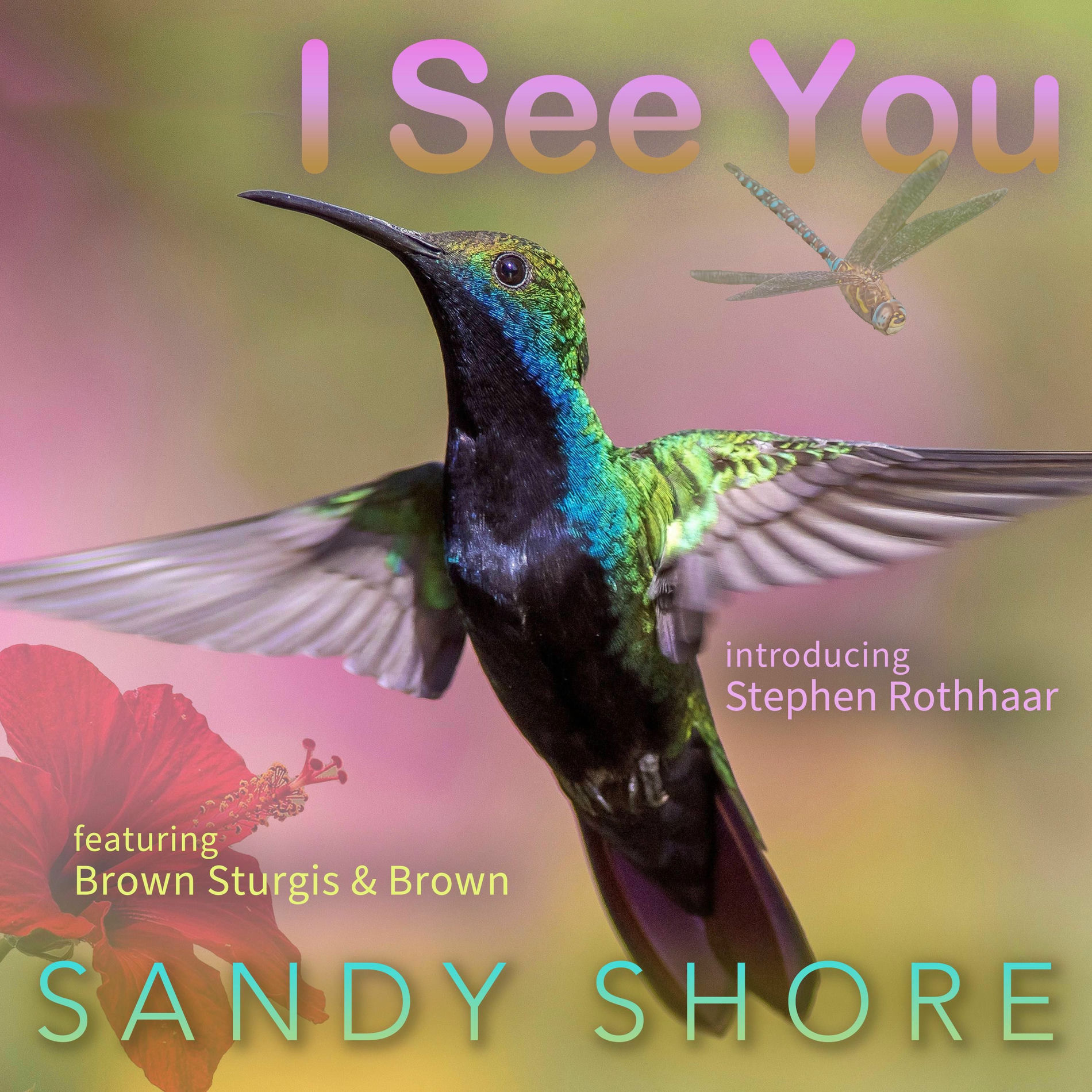 Album cover of I See You (feat. Stephen Rothhaar)