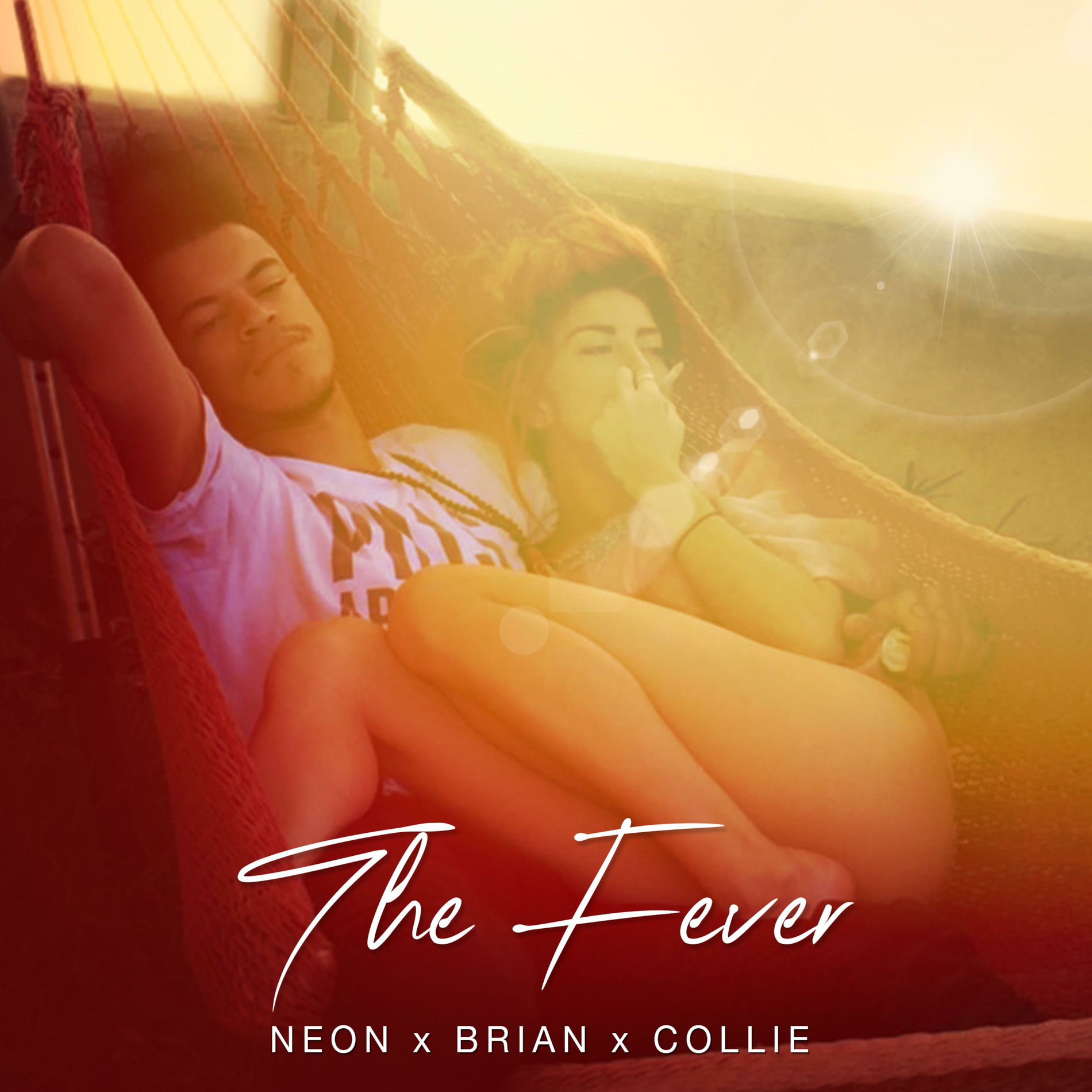 Album cover of The Fever (feat. Brian & Collie)