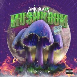Cover of Mushroom Riddim