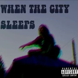 Cover of When the city sleeps