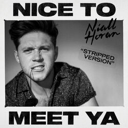 Cover of Nice To Meet Ya (Stripped)