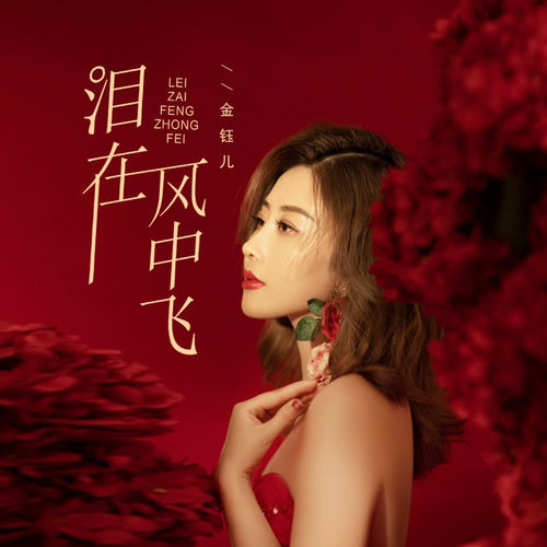 泪在风中飞 (Djbanan吉特巴版)