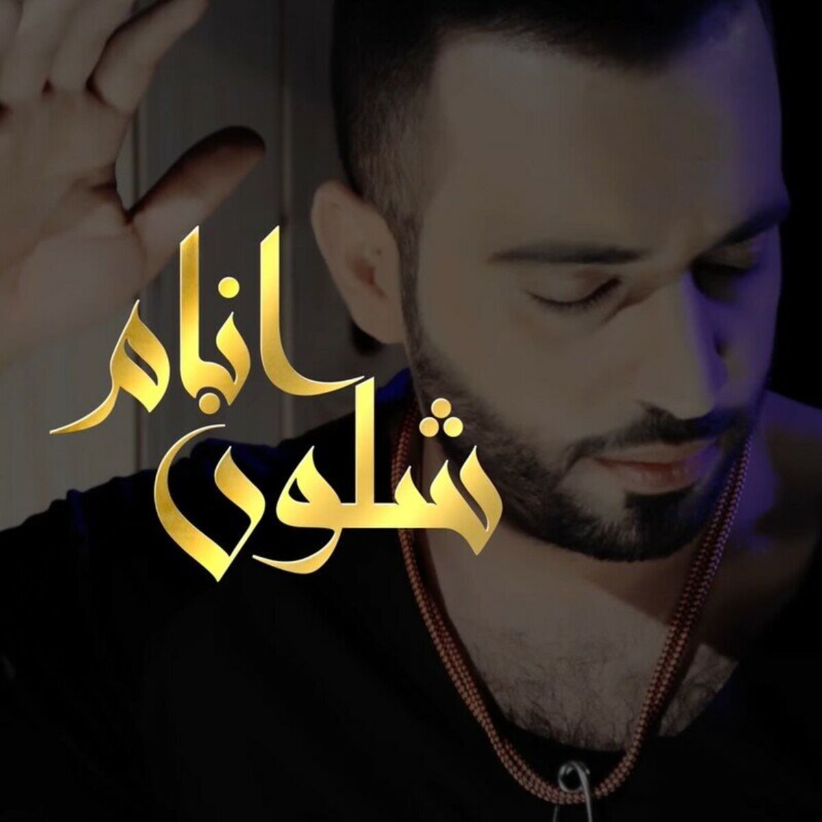 Album cover of Shlwn Anam