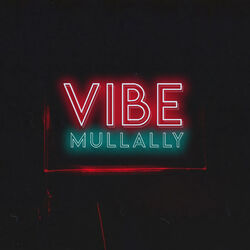 Cover of Vibe