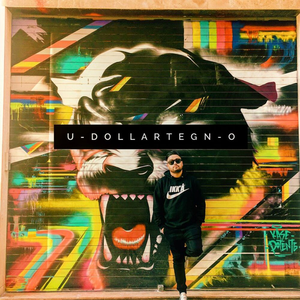 Picture of U-DOLLARTEGN-O