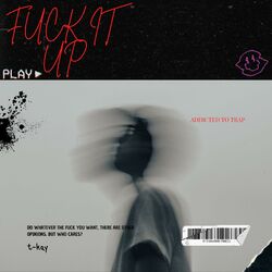 Cover of fuck it up