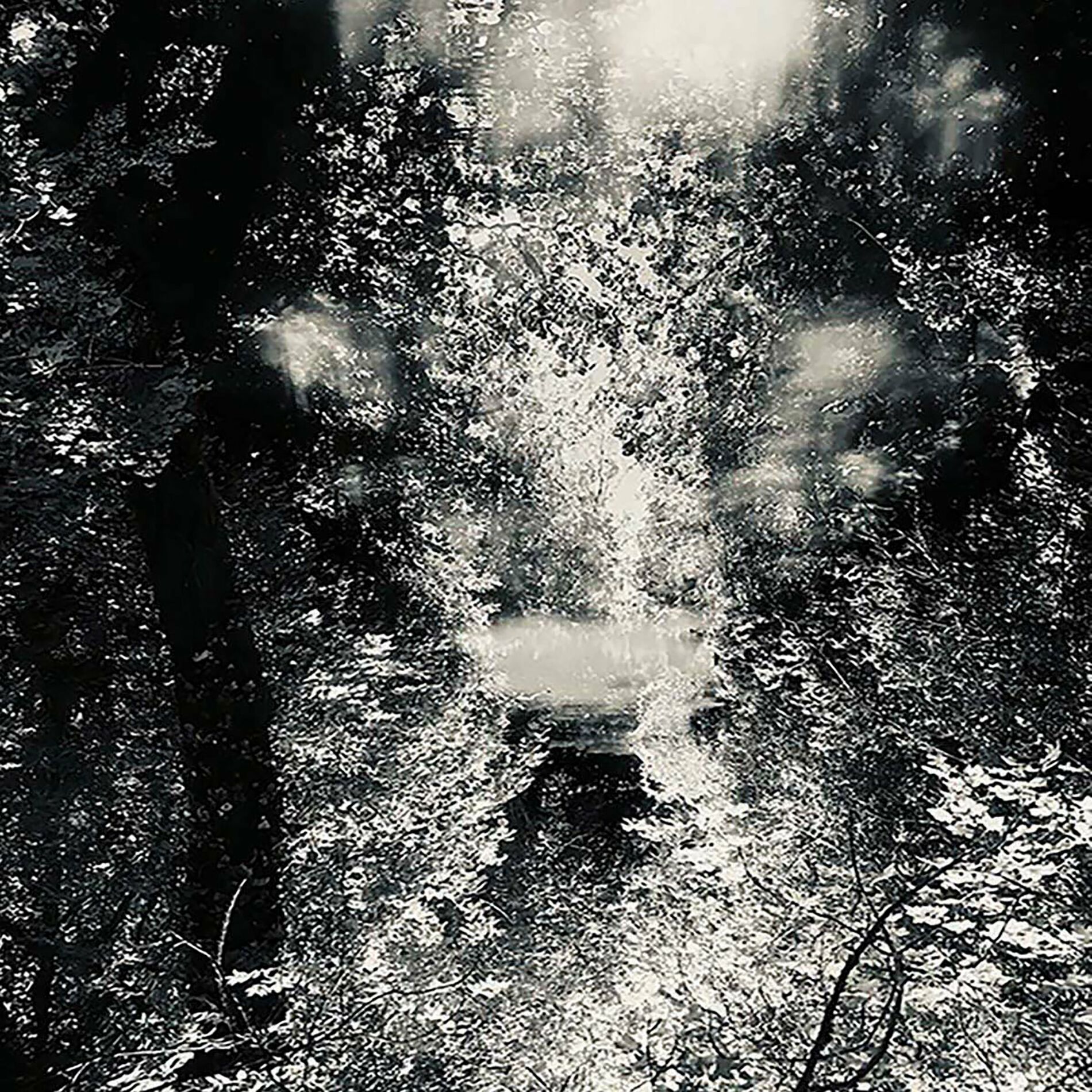 Album cover of ...In The Absence Of Light